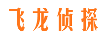 临泽市调查公司